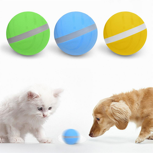 Motion Ball For Pets