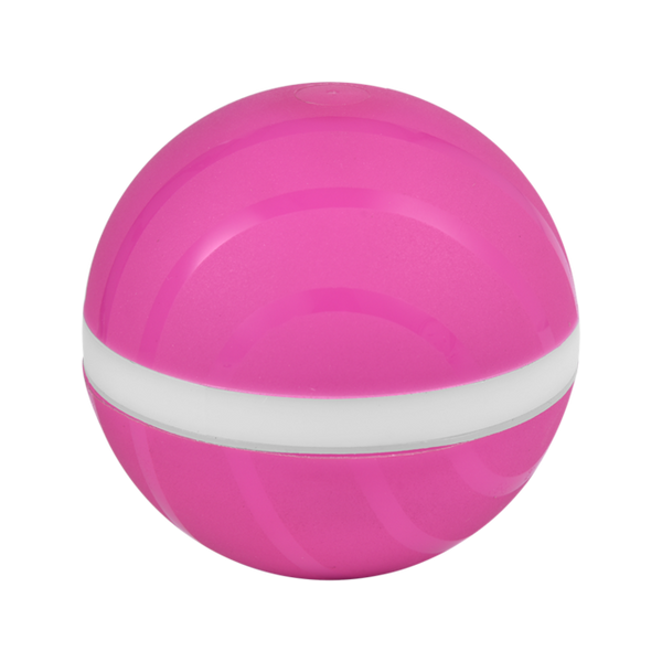 Motion Ball For Pets