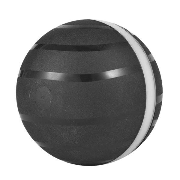 Motion Ball For Pets