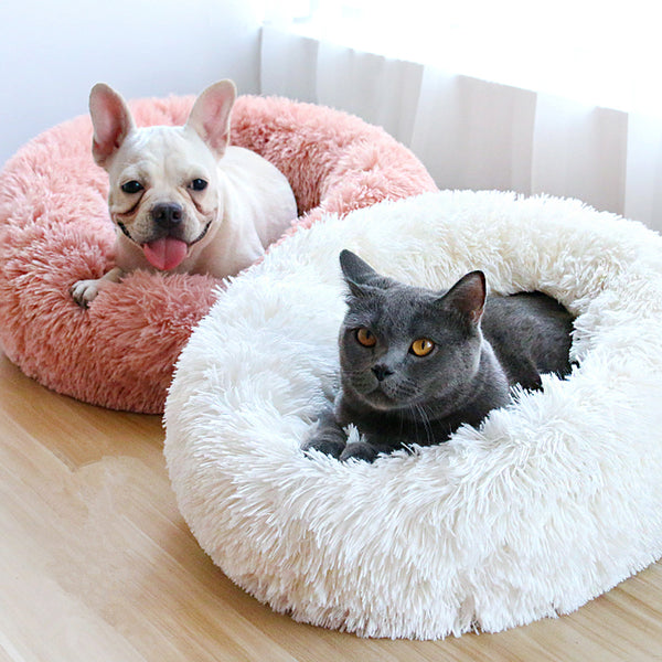 Deluxe Plush Bed