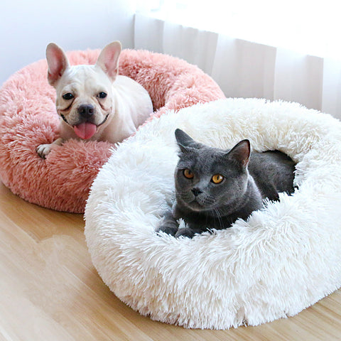 Deluxe Plush Bed